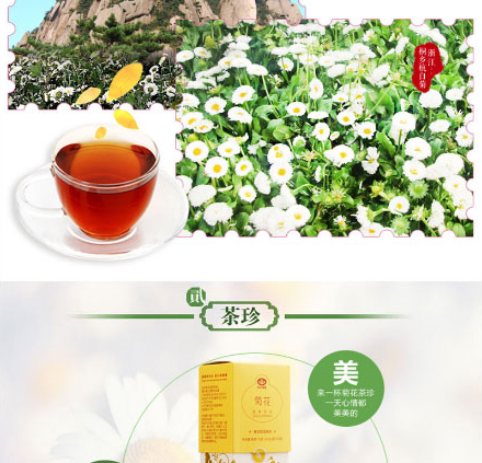 以岭菊花茶珍_04.jpg