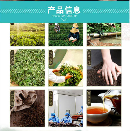 以岭连花清菲袋泡茶_04.jpg