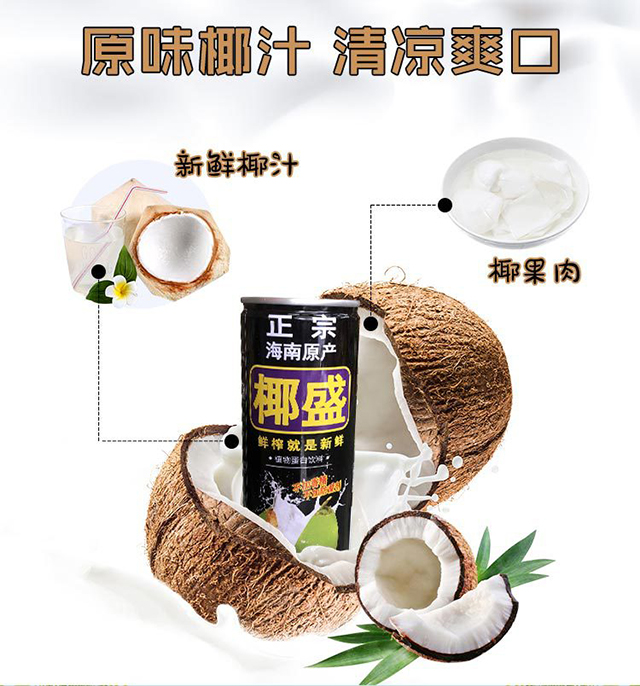 椰盛生榨椰子汁245ml24罐详情1.jpg
