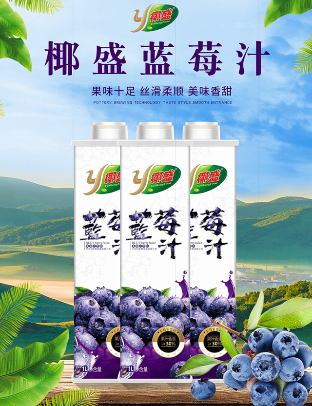 椰盛蓝莓汁1000ml6瓶详情1.jpg