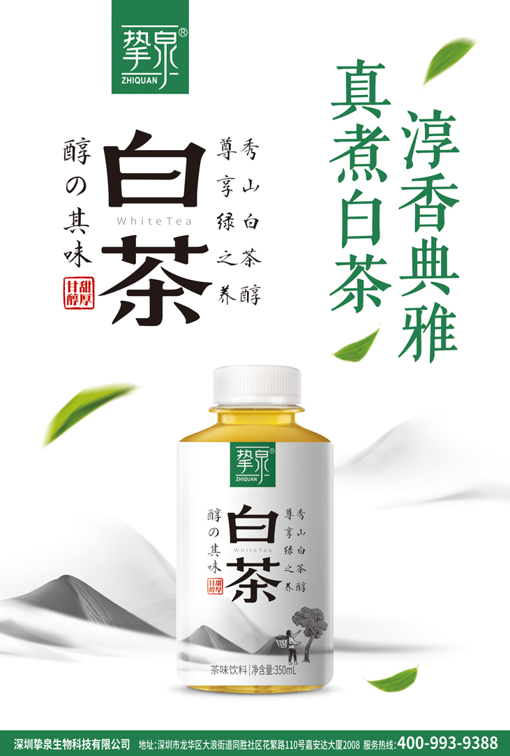挚泉白茶1.jpg