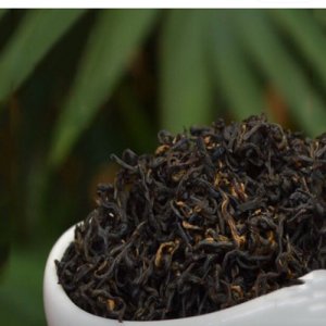 祁门红茶特级高山香螺3