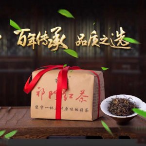 祁门红茶明前手工金针祁眉春茶