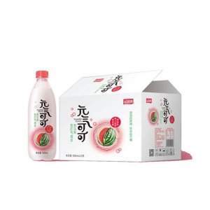 溢和源元气可可 气泡苏打水（西瓜味）