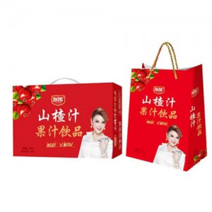 友浓山楂汁礼箱装