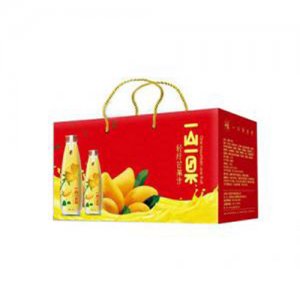 一山一果轻纤芒果汁套装