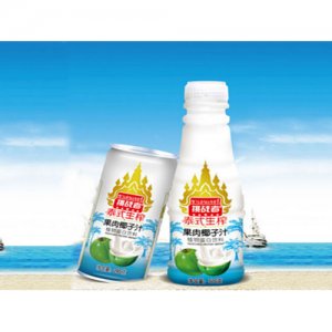 肯扬 泰式椰子汁500g