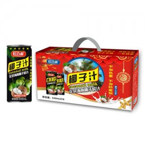 华源椰子汁245mlX10