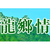 南阳市龍乡情食品有限公司