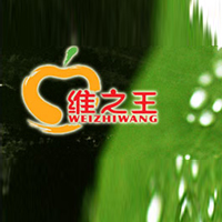 山西维之王食品有限公司