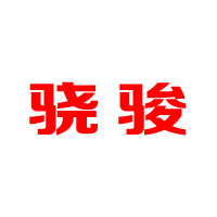 温州骁骏国际经贸有限公司