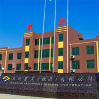 河南东致实业有限公司