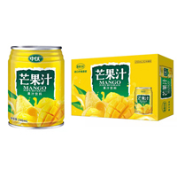 圣元饮品（山东）有限公司