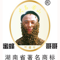 湖南蜜蜂哥哥蜂业有限公司