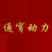 通宵动力（北京）科技发展有限公司