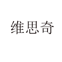广东维思奇食品有限公司