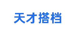天才搭档