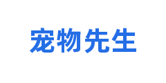 宠物先生