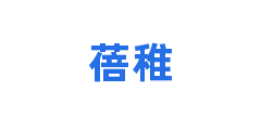 蓓稚